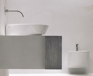 NIC Design Slim Servant