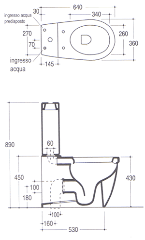 Vitruvit Young Toalett
